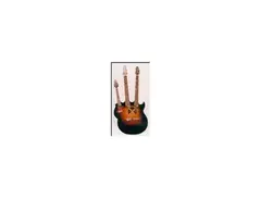 Manson Triple Neck main image