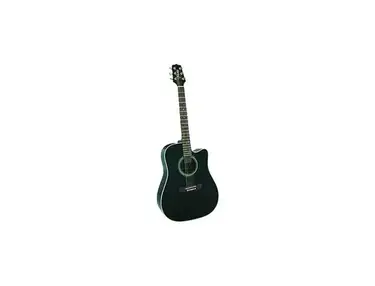 Takamine EG320C
