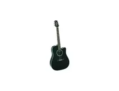 Takamine EG320C main image