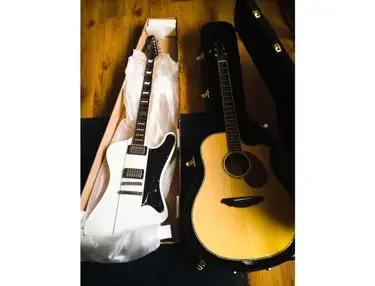 Breedlove Stage D25/SR