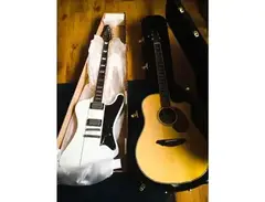 Breedlove Stage D25/SR main image