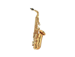 Elkhart Series 2 Alto Saxophone - What To Know & Where To Buy