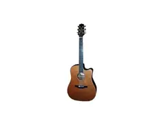 Takamine NP15