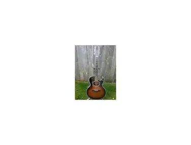 Washburn EA20-12 12-String Acoustic Guitar