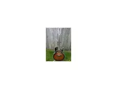 Washburn EA20-12 12-String Acoustic Guitar
