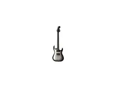 Washburn X-30 main image