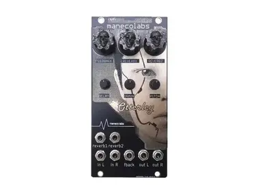 Maneco Labs Mini Looper Delay — Effects Module | Equipboard