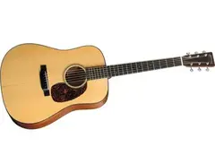 Martin D-18GE