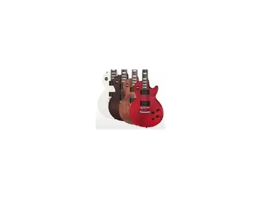 Gibson 2013 LPJ