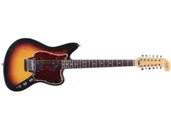Fender Electric XII 12-String Guitar - What To Know & Where To Buy