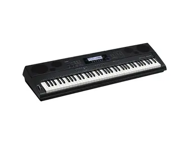 Casio WK-6500 (Duplicate)