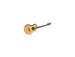 Yamaha APX5A