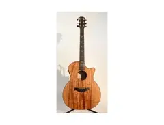 Taylor Richie Sambora Signature Model Acoustic Guitar