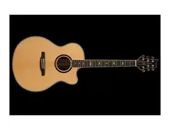 PRS SE Angelus