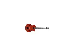 Harrison Custom Guitar Works Peter Green Guitar main image