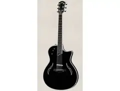 Taylor T5