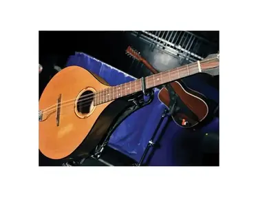 Garrison Baritone Mandolin