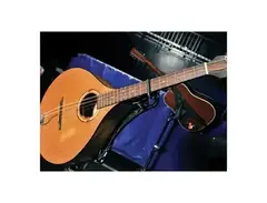 Garrison Baritone Mandolin main image