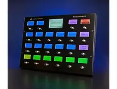 RJM Mastermind GT/22 MIDI Foot Controller
