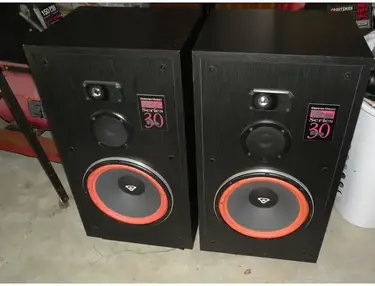 Cerwin-Vega RE-30 Loudspeakers