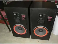 Cerwin-Vega RE-30 Loudspeakers