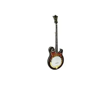Gold Tone EBM-5 Electric Banjo