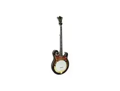 Gold Tone EBM-5 Electric Banjo