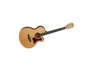 Tanglewood TW45 W-OP-E