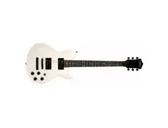 Washburn WI100 main image