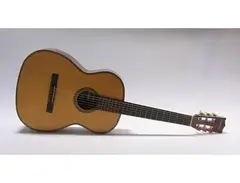 Giannini AWN300 1986 main image