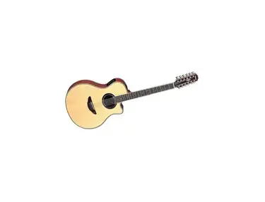 Yamaha APX700-12