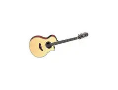Yamaha APX700-12