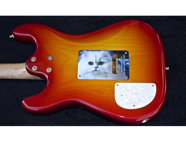cleo super shredmaster custom
