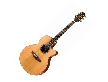 Takamine EAN40CX
