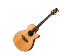 Takamine EAN40CX main image