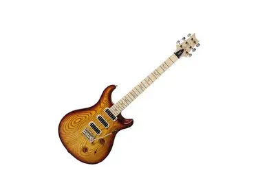 PRS Swamp Ash Special