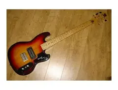 Shergold Marathon 6 String Bass