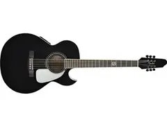 Fender acoustic signature John 5