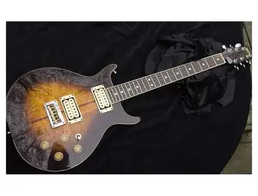 Washburn Custom 22 Series Hawk