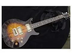 Washburn Custom 22 Series Hawk main image