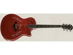 Taylor T5 PRO
