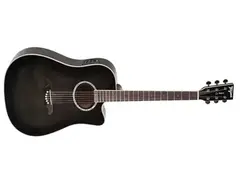 Tagima Edu Ardanuy Signature Acoutic Guitar\