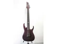 Ibanez Signature Chris Broderick