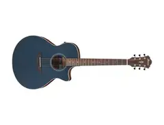 Ibanez AE100
