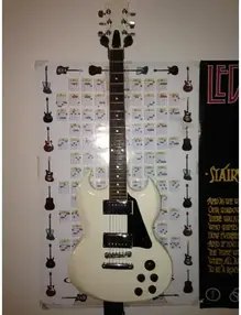 Custom SG