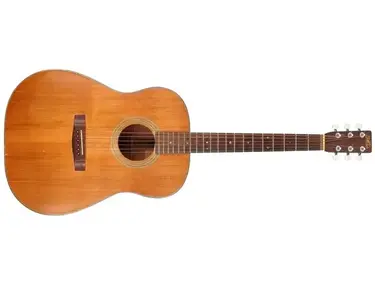 Fylde Orsino Acoustic Guitar