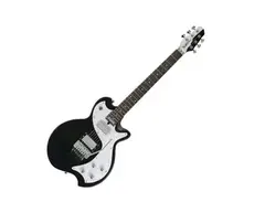 ESP SA-2 Signature Guitar