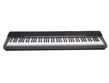 Casio Privia PX-130
