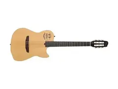 Godin Multiac 10 String main image