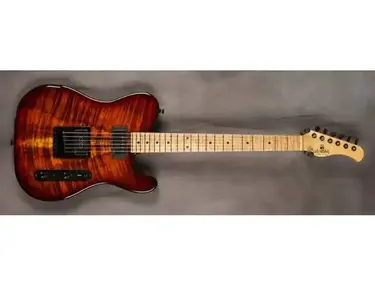 Devin Townsend's Sadowsky Custom Vintage T-Style Electric Guitar
